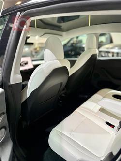 تسلا موديل Y